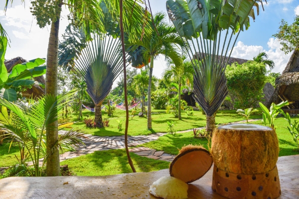 Hotel Chalet Tropical Village B&B (Las Galeras)